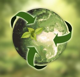 Sustainability